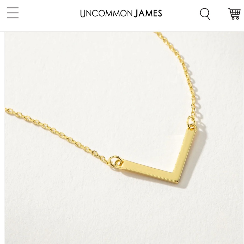 Uncommon James Rose Gold Chain Necklace